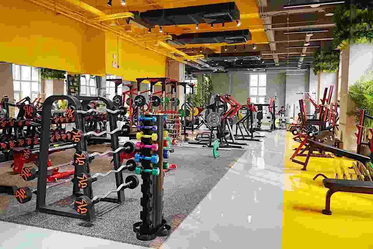 開個(gè)私教工作室一年能賺多少錢？